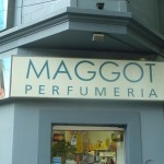 maggot